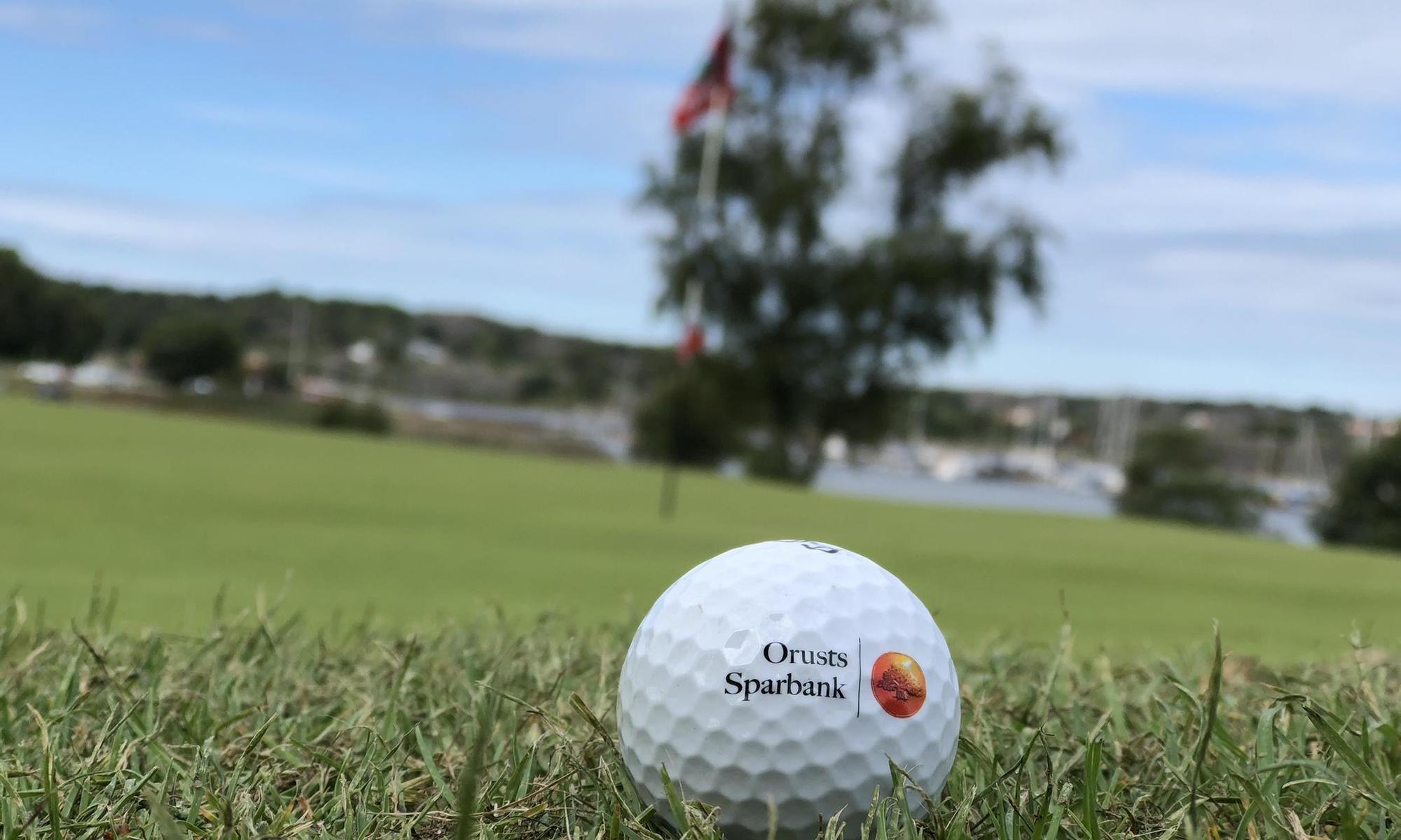 Golffboll på green